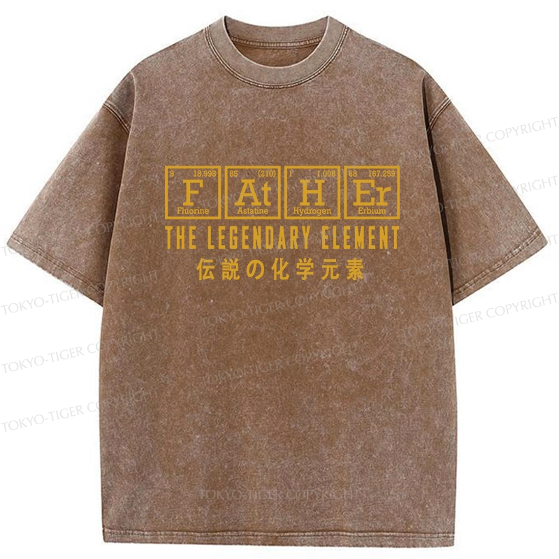 Tokyo-Tiger Funny Father Chemical Element Washed T-Shirt