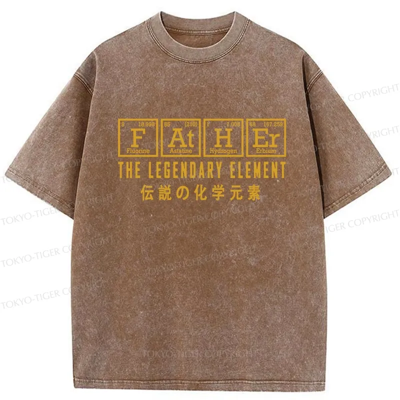 Tokyo-Tiger Funny Father Chemical Element Washed T-Shirt