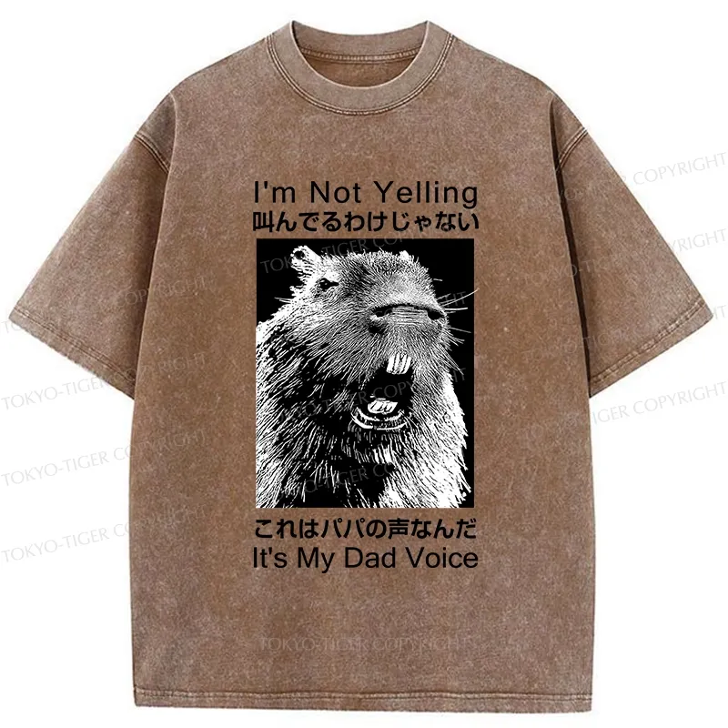 Tokyo-Tiger Funny Dad Voice Washed T-Shirt