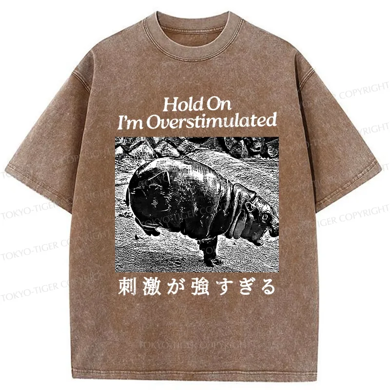 Tokyo-Tiger Overstimulated Moo Deng Washed T-Shirt