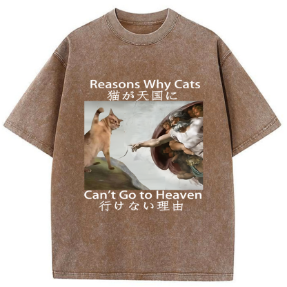 Tokyo-Tiger Naughty Cat Can't Go To Heaven Washed T-Shirt