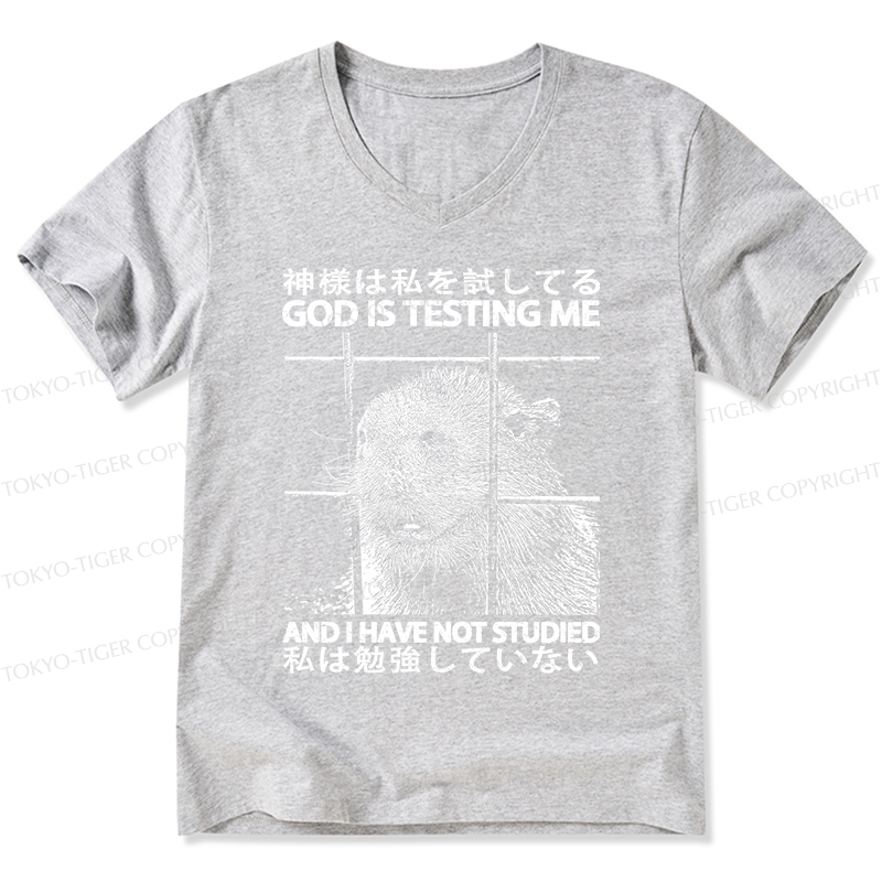 Tokyo-Tiger God Is Testing Me V-Neck Classic T-Shirt