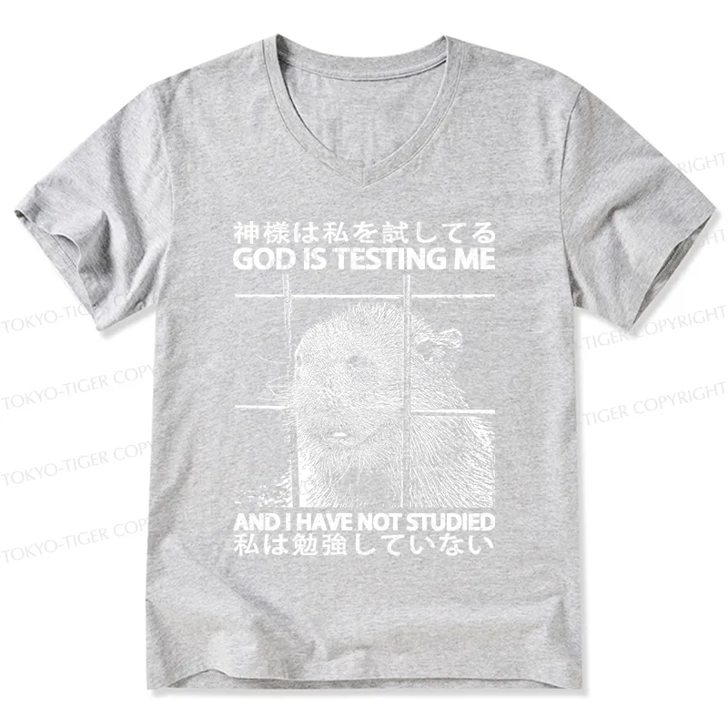 Tokyo-Tiger God Is Testing Me V-Neck Classic T-Shirt Sale