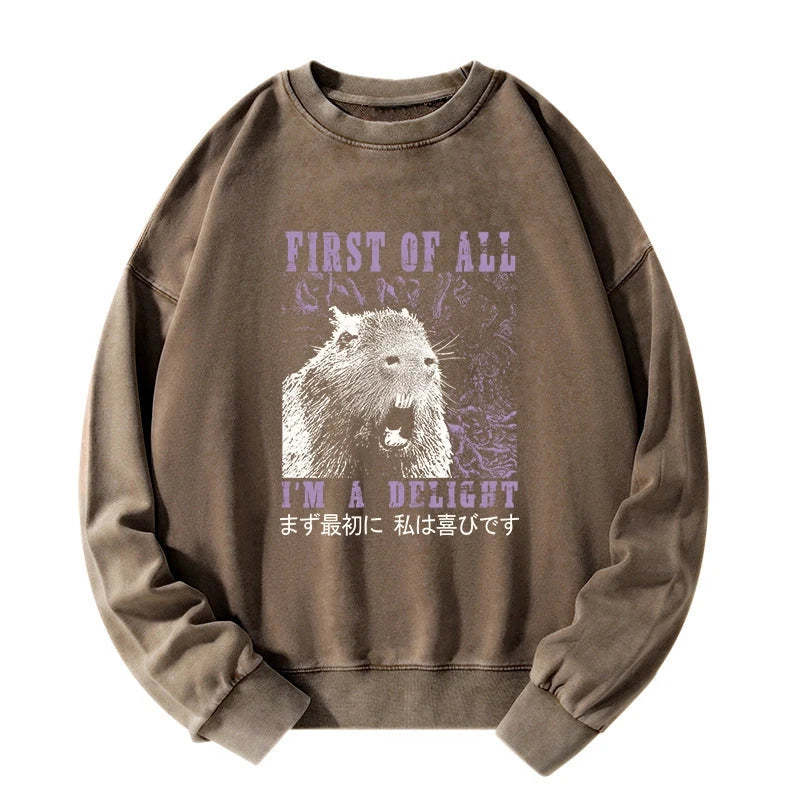 Tokyo-Tiger First Of All I'm A Delight Washed Sweatshirt