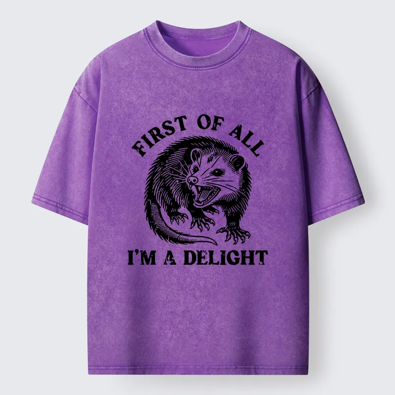 Tokyo-Tiger Delight Possum Meme Washed T-Shirt