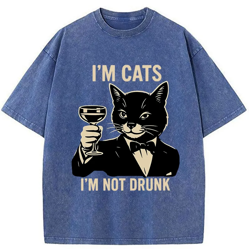 Tokyo-Tiger Cat Cheers Meme Funny Washed T-Shirt
