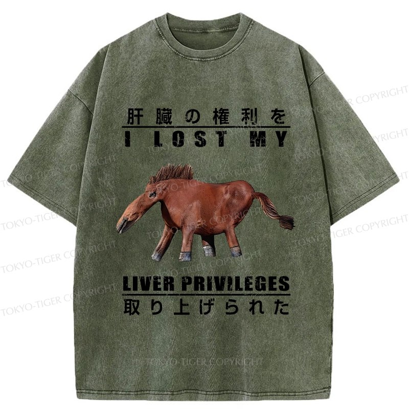 Tokyo-Tiger I Lost My Liver Privileges Washed T-Shirt