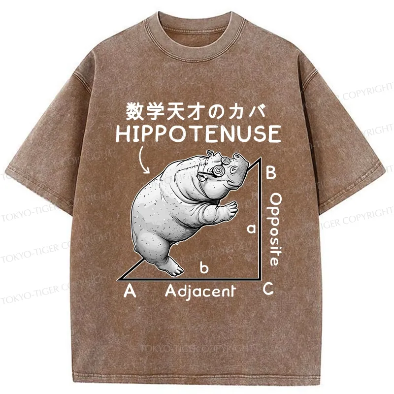 Tokyo-Tiger Mathematical Genius Hippo Washed T-Shirt
