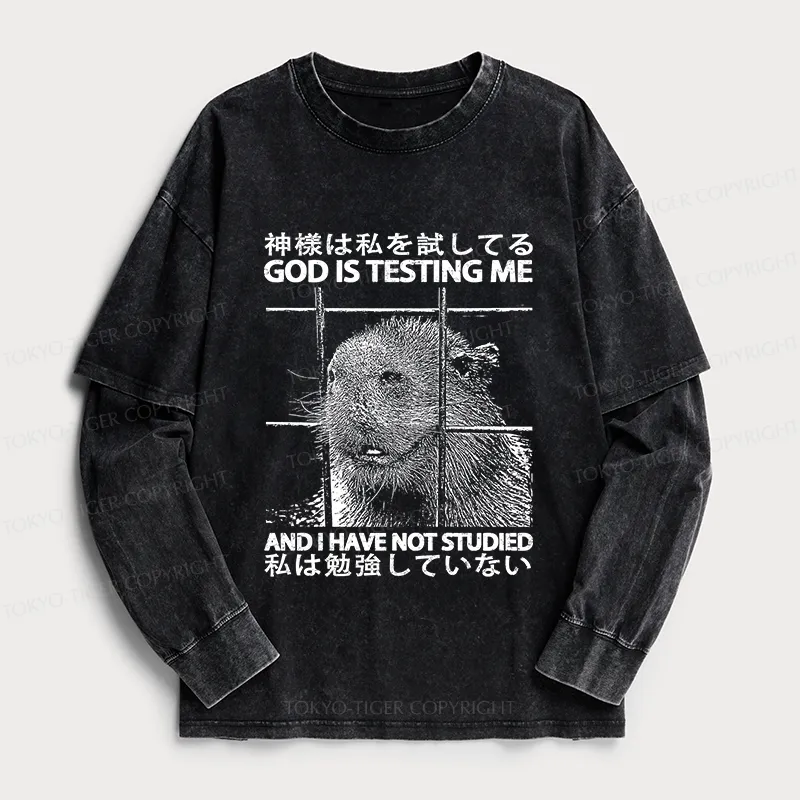 Tokyo-Tiger God Is Testing Me Washed Double Layer T-Shirt