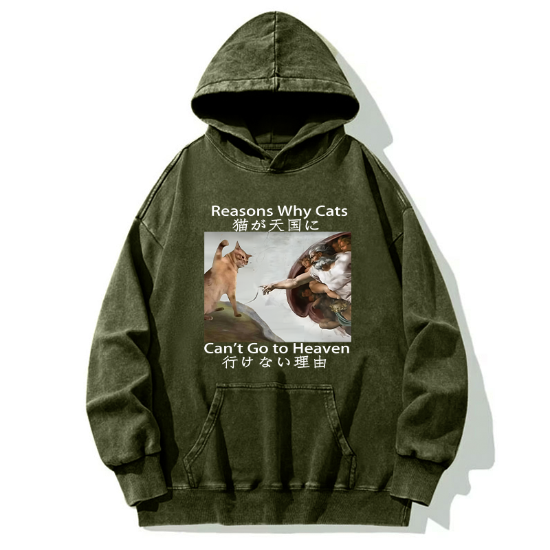 Tokyo-Tiger Naughty Cat Can't Go To Heaven Washed Hoodie