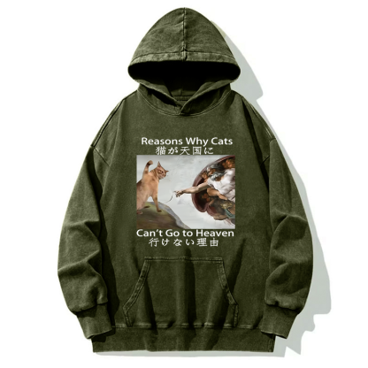 Tokyo-Tiger Naughty Cat Can't Go To Heaven Washed Hoodie