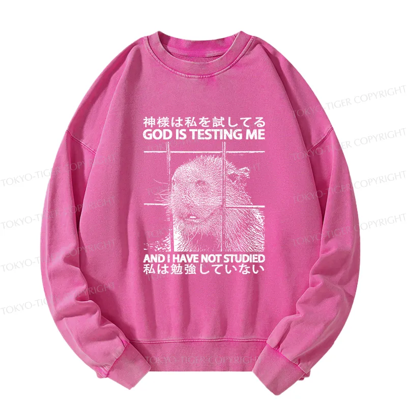Tokyo-Tiger God Is Testing Me Washed Sweatshirt