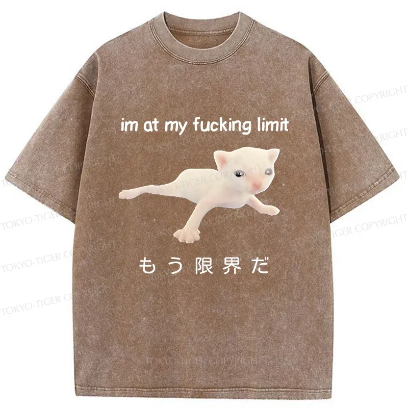 Tokyo-Tiger Cat Reaching Its Limit Washed T-Shirt