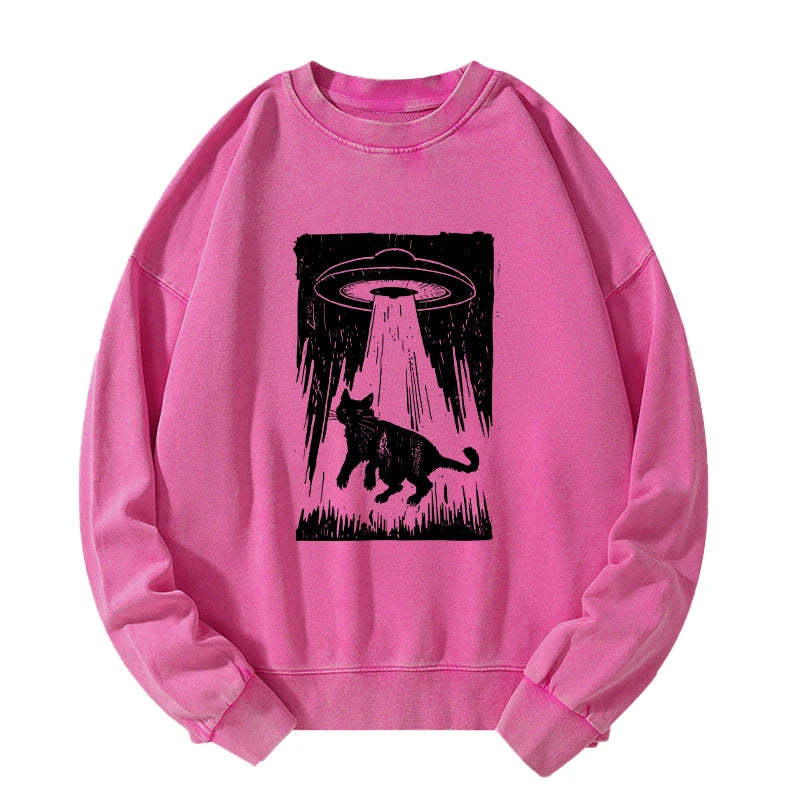 Tokyo-Tiger Cat Kidnapped By Aliens Washed Sweatshirt