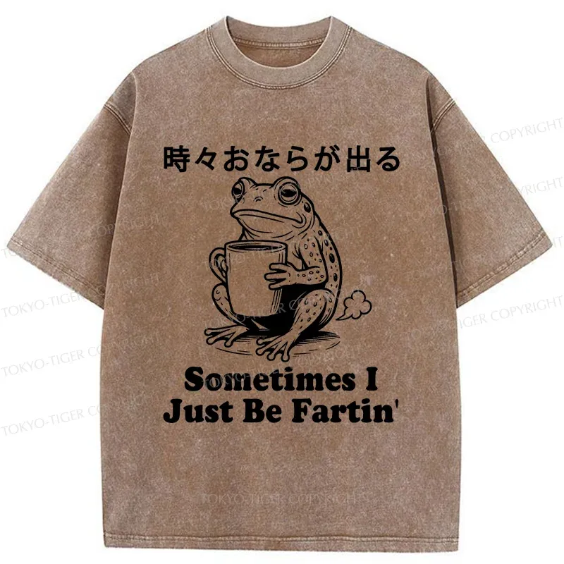 Tokyo-Tiger Farting Frog Washed T-Shirt