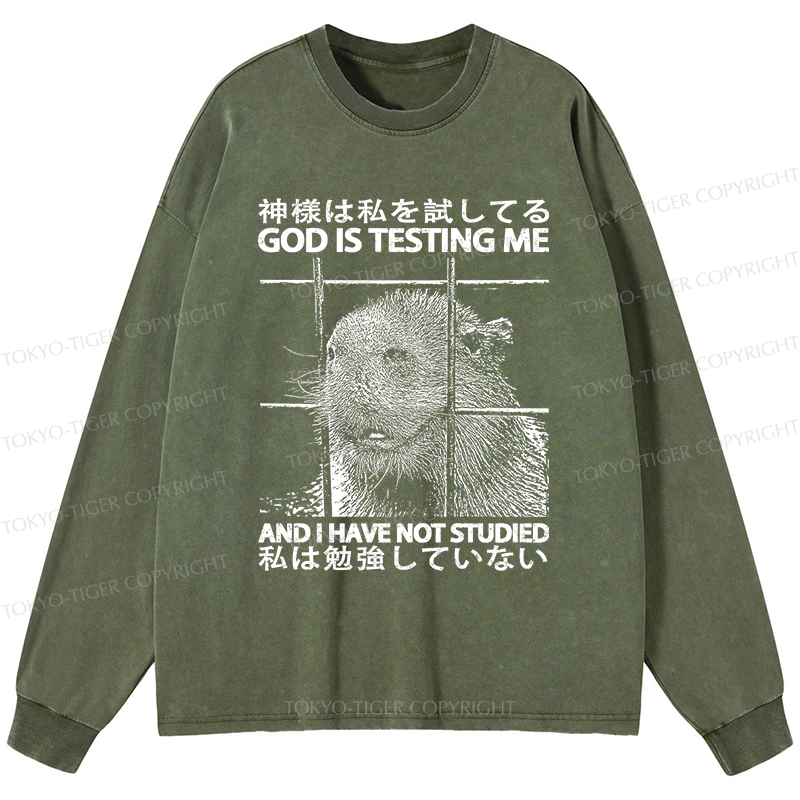 Tokyo-Tiger God Is Testing Me Washed Long Sleeve T-Shirt