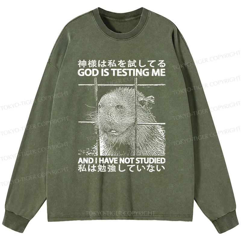 Tokyo-Tiger God Is Testing Me Washed Long Sleeve T-Shirt