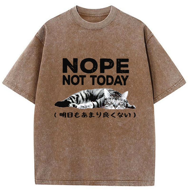 Tokyo-Tiger Every Day Won't Be So Good Washed T-Shirt