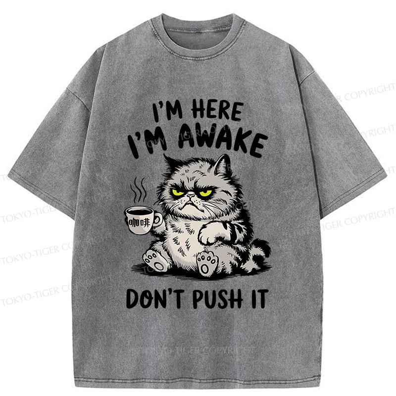 Tokyo-Tiger Tired Cat Washed T-Shirt