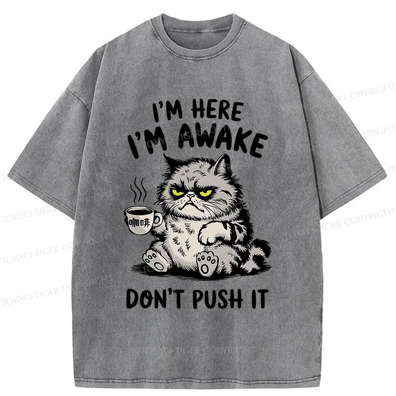 Tokyo-Tiger Tired Cat Washed T-Shirt