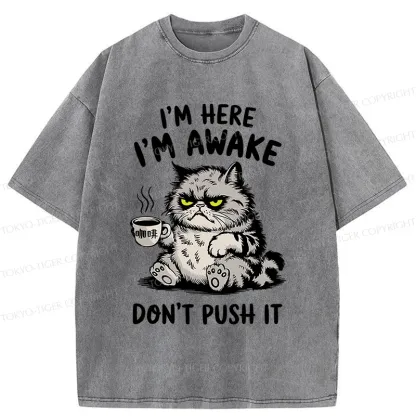 Tokyo-Tiger Tired Cat Washed T-Shirt