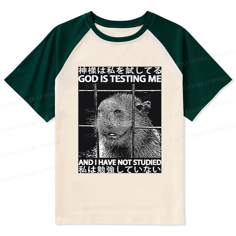 Tokyo-Tiger God Is Testing Me Raglan T-shirt