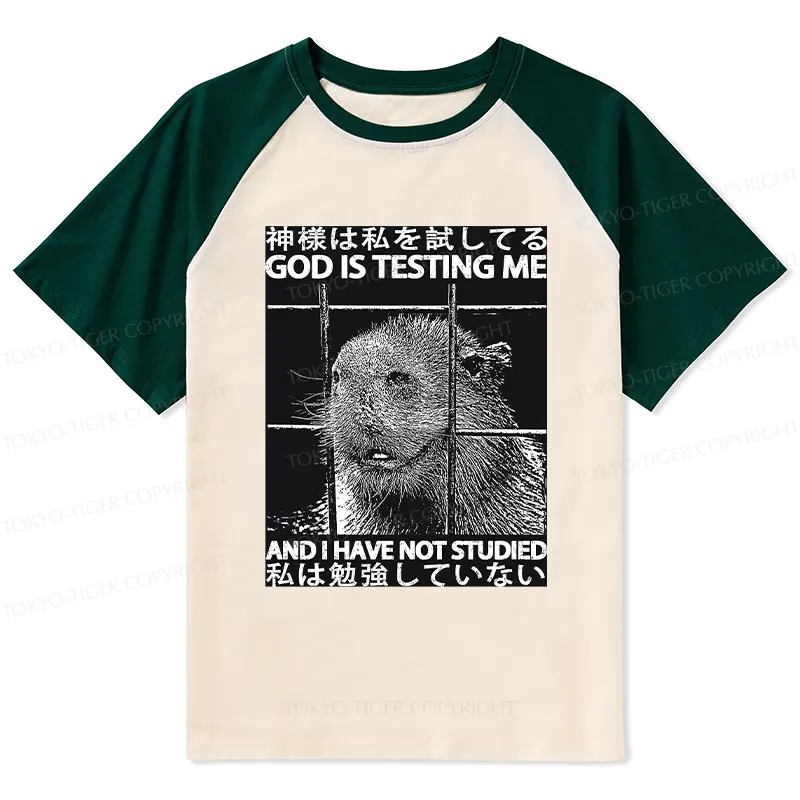 Tokyo-Tiger God Is Testing Me Raglan T-shirt