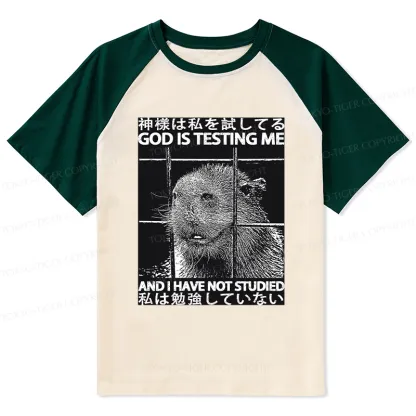Tokyo-Tiger God Is Testing Me Raglan T-shirt