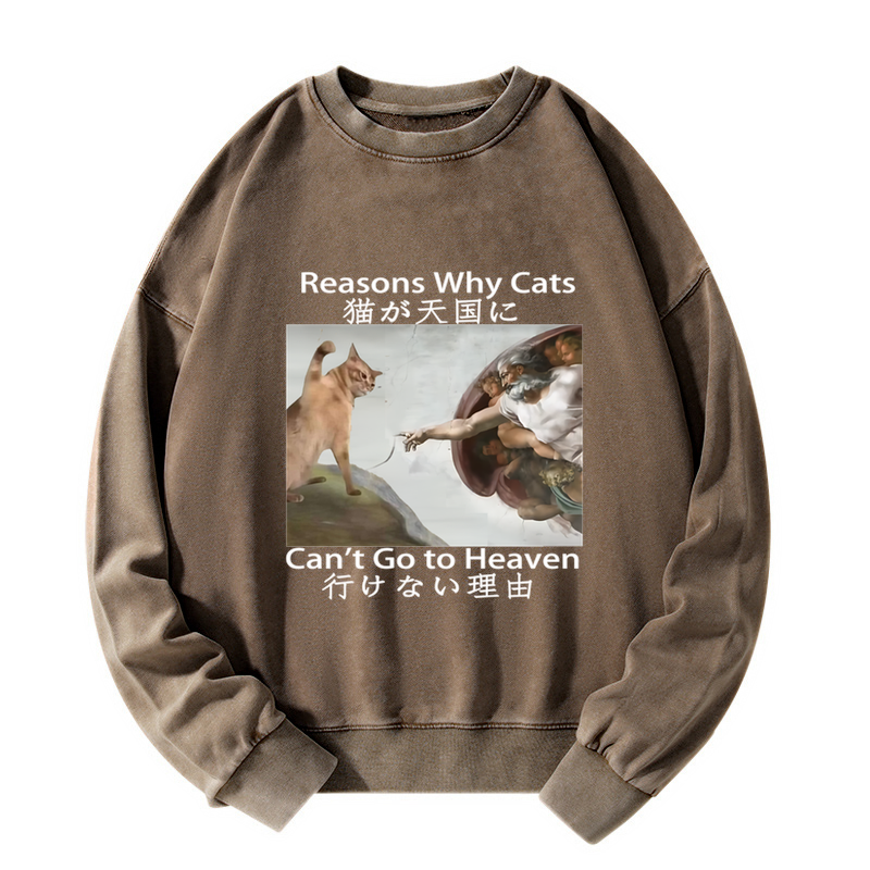 Tokyo-Tiger Naughty Cat Can't Go To Heaven Washed Sweatshirt