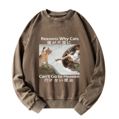 Tokyo-Tiger Naughty Cat Can't Go To Heaven Washed Sweatshirt