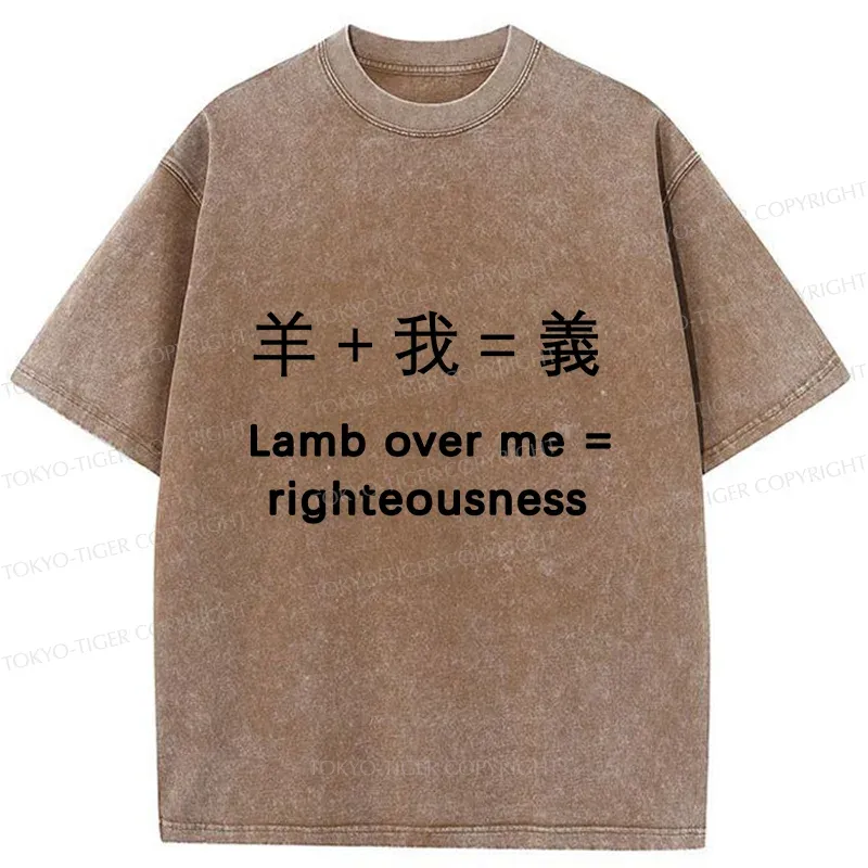 Tokyo-Tiger Constitution Of Justice Washed T-Shirt