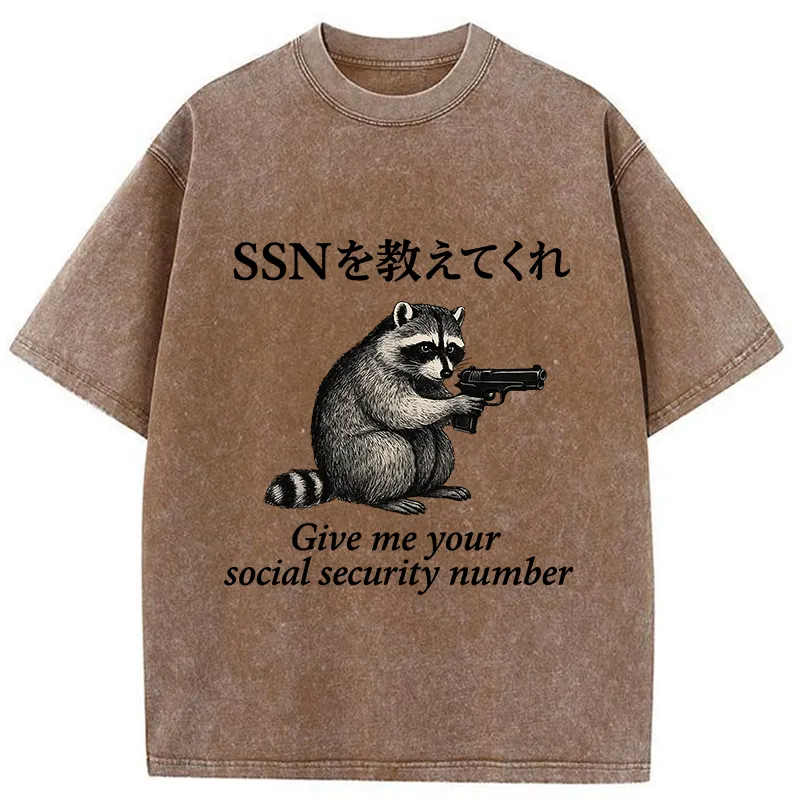 Tokyo-Tiger Raccoon Funny Meme Washed T-Shirt