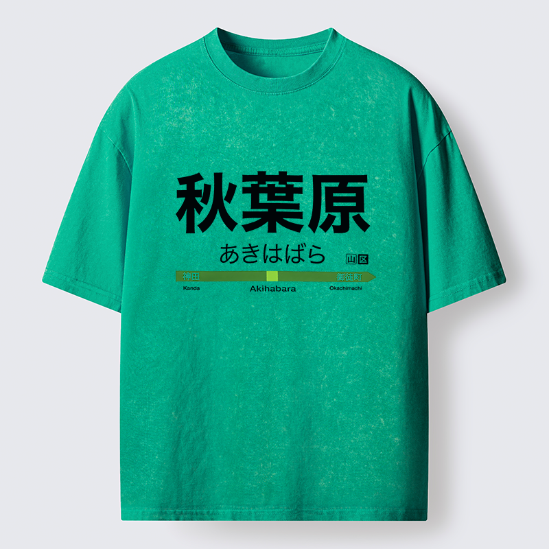 Tokyo-Tiger Japan Akihabara Line Station Washed T-Shirt