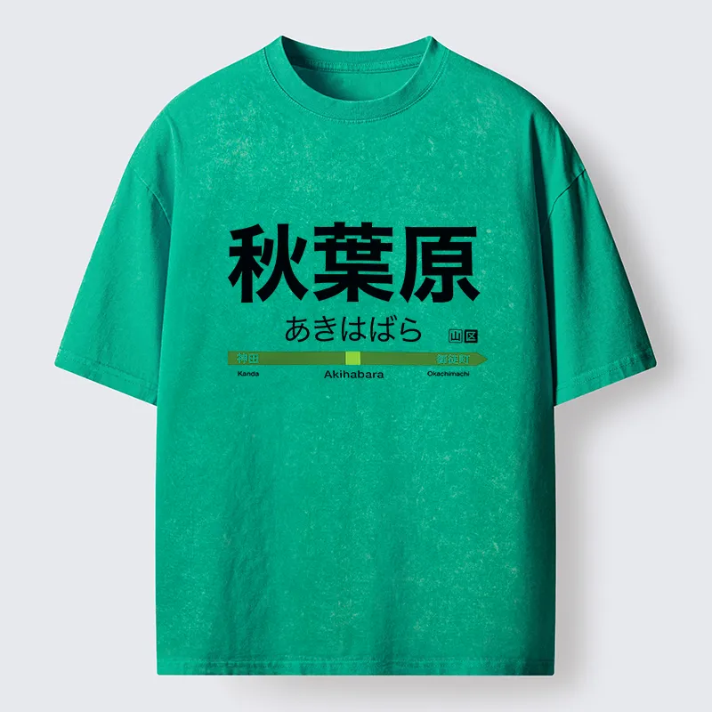 Tokyo-Tiger Japan Akihabara Line Station Washed T-Shirt