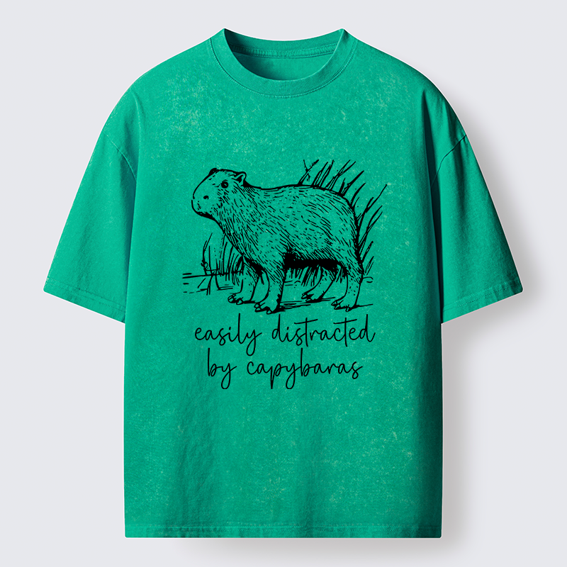 Tokyo-Tiger Capybara Lovers Funny Washed T-Shirt