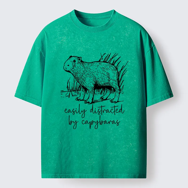 Tokyo-Tiger Capybara Lovers Funny Washed T-Shirt