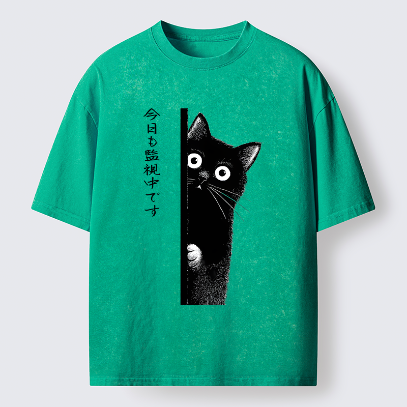 Tokyo-Tiger A Black Cat Is Watching You Washed T-Shirt