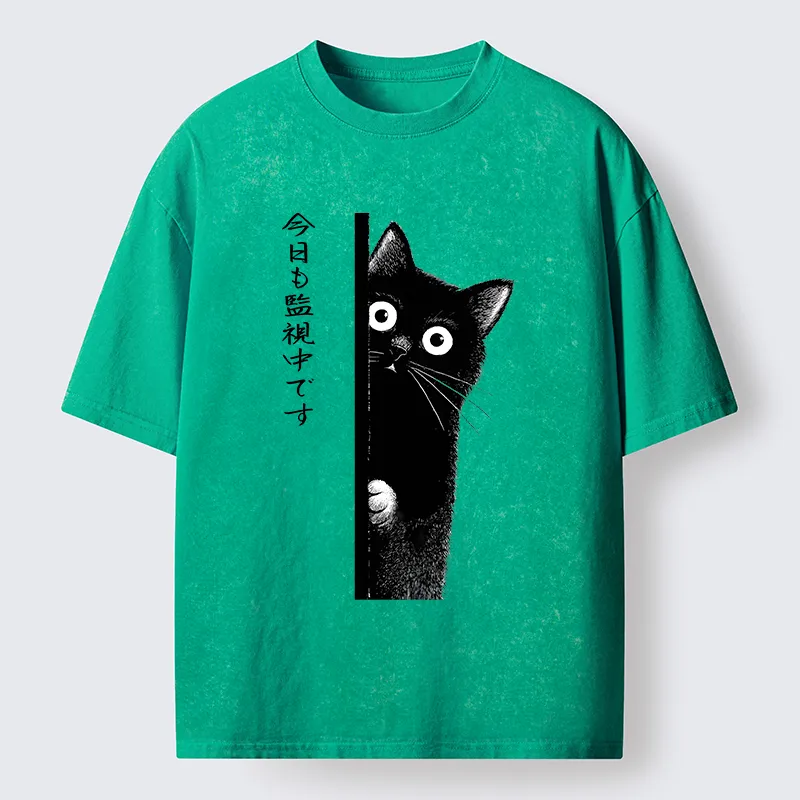 Tokyo-Tiger A Black Cat Is Watching You Washed T-Shirt