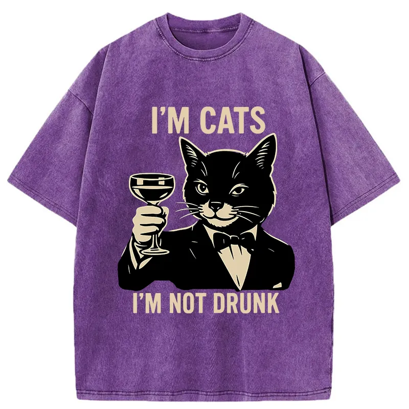 Tokyo-Tiger Cat Cheers Meme Funny Washed T-Shirt