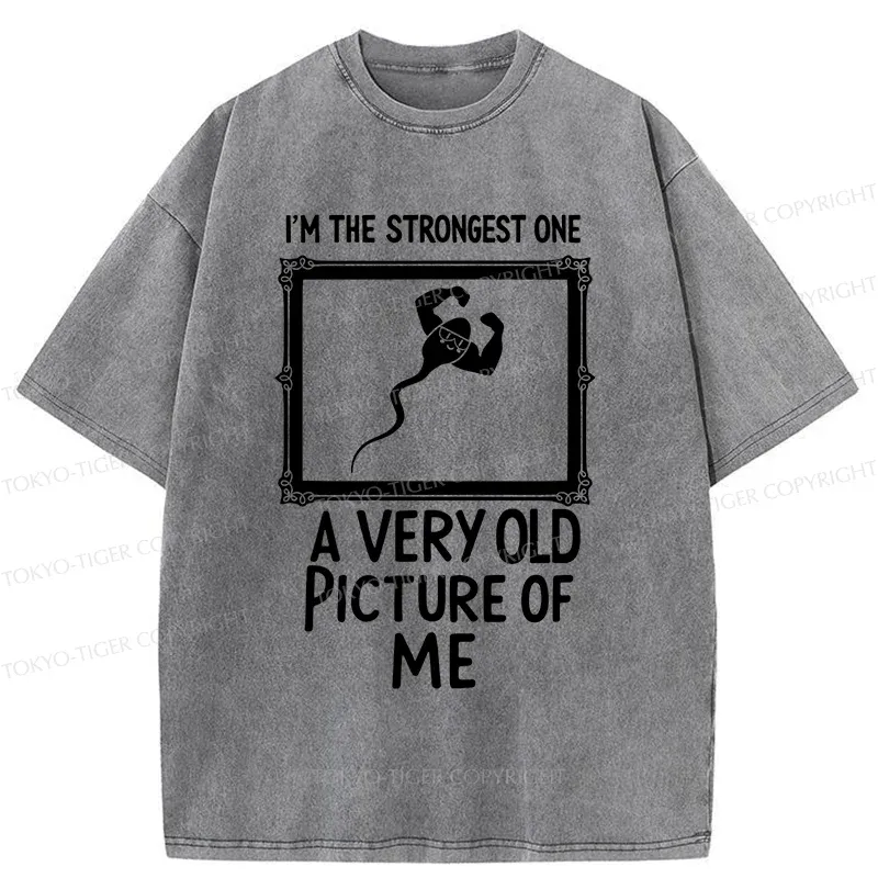 Tokyo-Tiger Old Photos Funny Washed T-Shirt