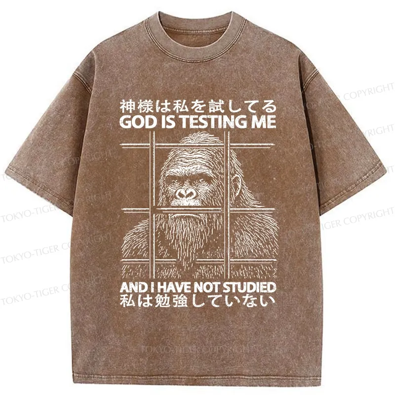 Tokyo-Tiger Funny God Is Testing Me Washed T-Shirt