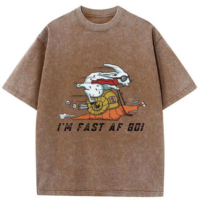 Tokyo-Tiger Funny Rabbit Riding A Snail Washed T-Shirt