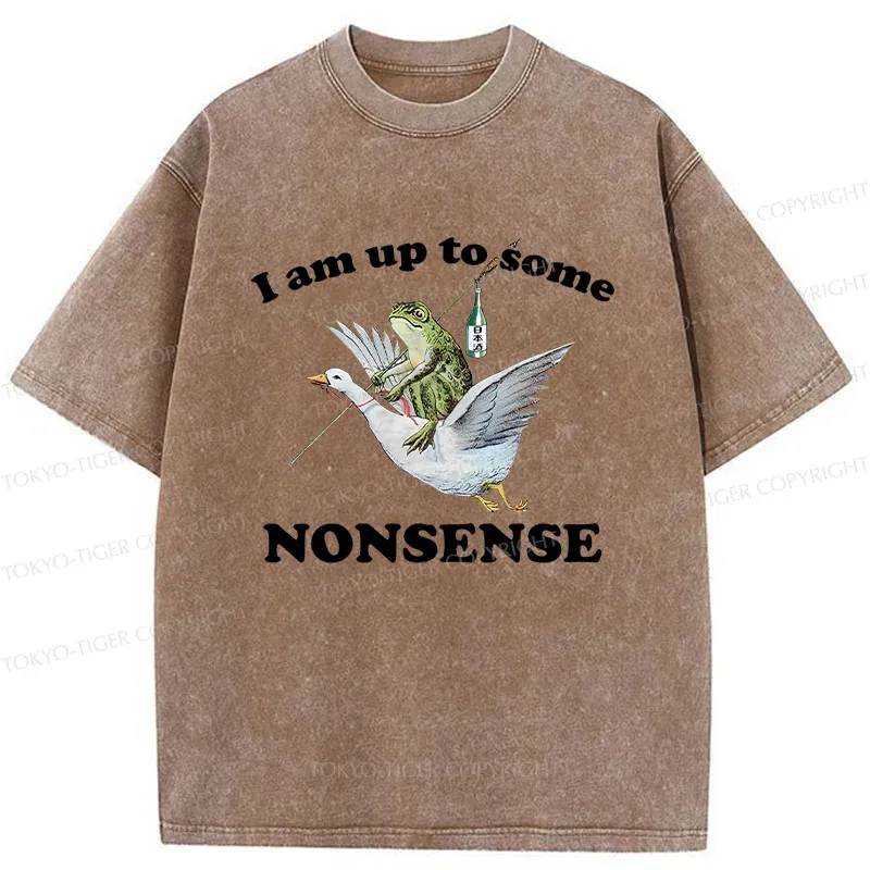 Tokyo-Tiger Frog Riding A Goose Washed T-Shirt