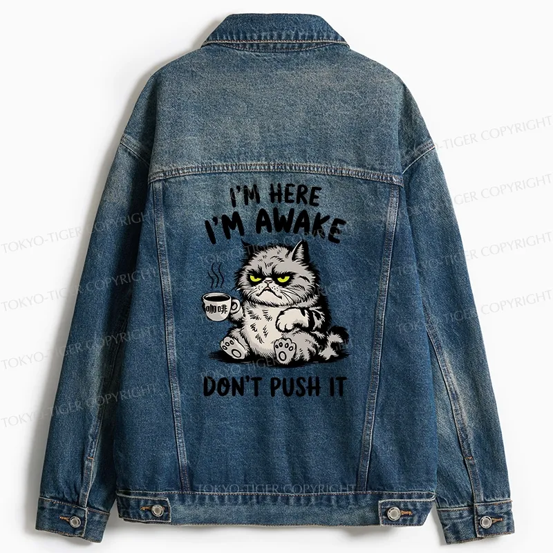 Tokyo-Tiger Tired Cat Jean Jacket