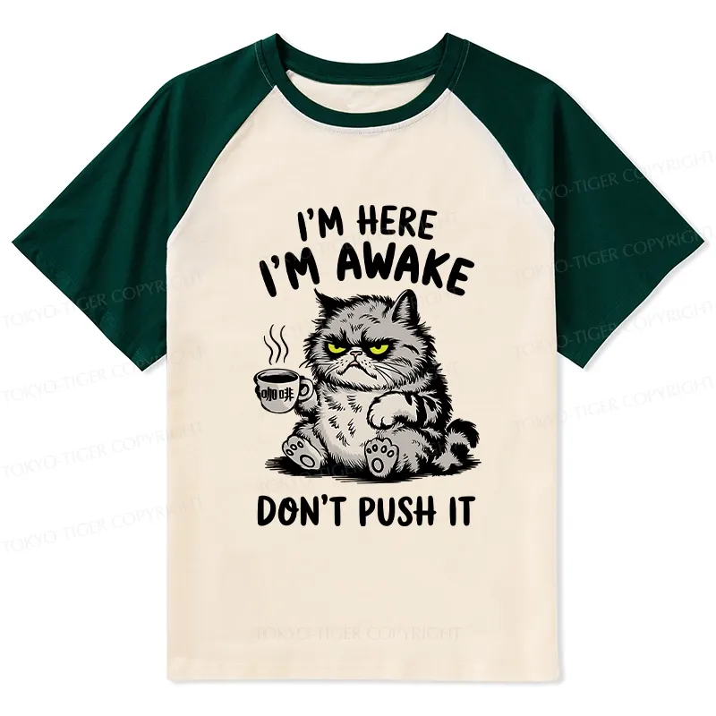 Tokyo-Tiger Tired Cat Raglan T-shirt