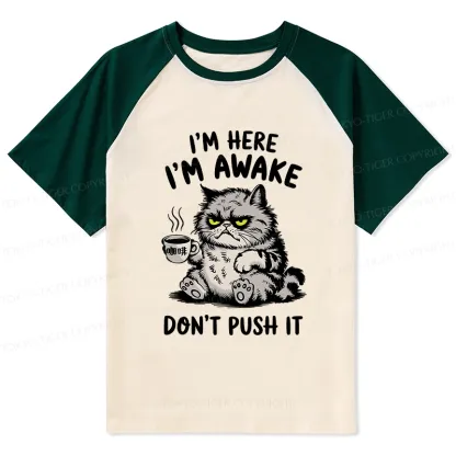 Tokyo-Tiger Tired Cat Raglan T-shirt