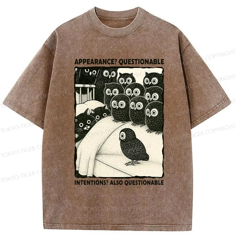 Tokyo-Tiger Appearance And Intentions Questionable Washed T-Shirt