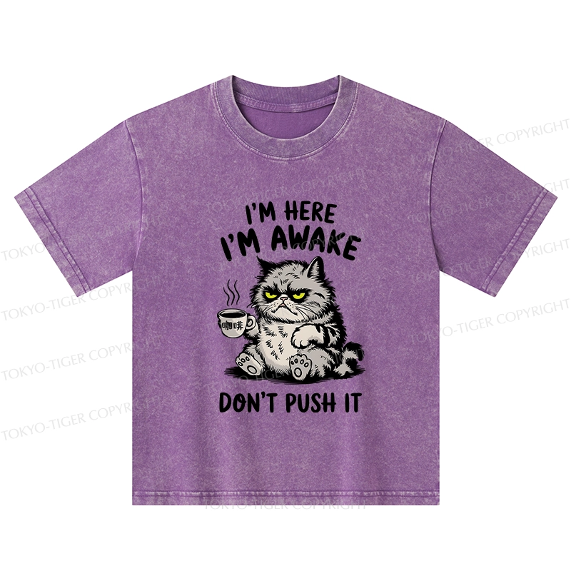 Tokyo-Tiger Tired Cat Kids Washed T-Shirt