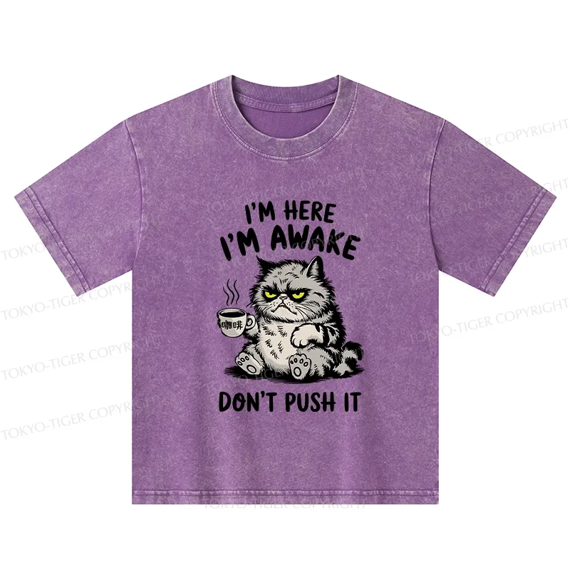 Tokyo-Tiger Tired Cat Kids Washed T-Shirt