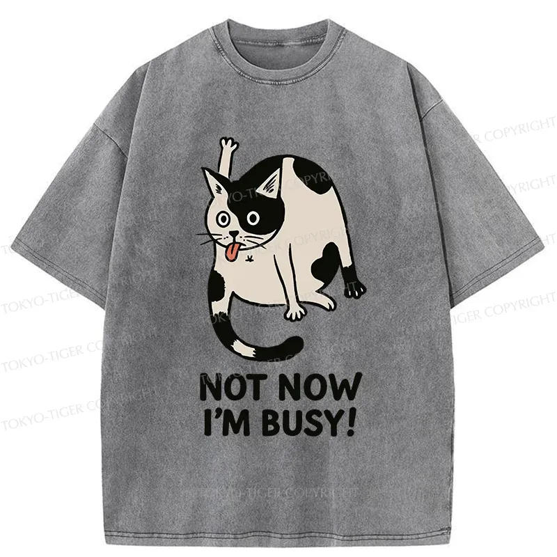 Tokyo-Tiger Busy Cat Washed T-Shirt